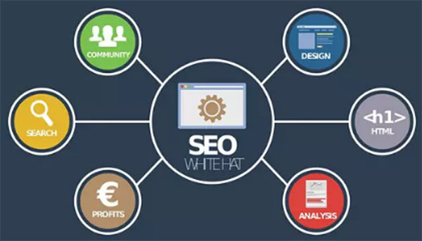 SEO、優(yōu)化、網(wǎng)站優(yōu)化